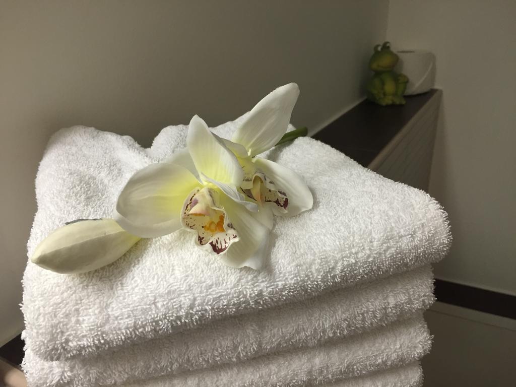 杜密兹1号酒店 科隆 外观 照片